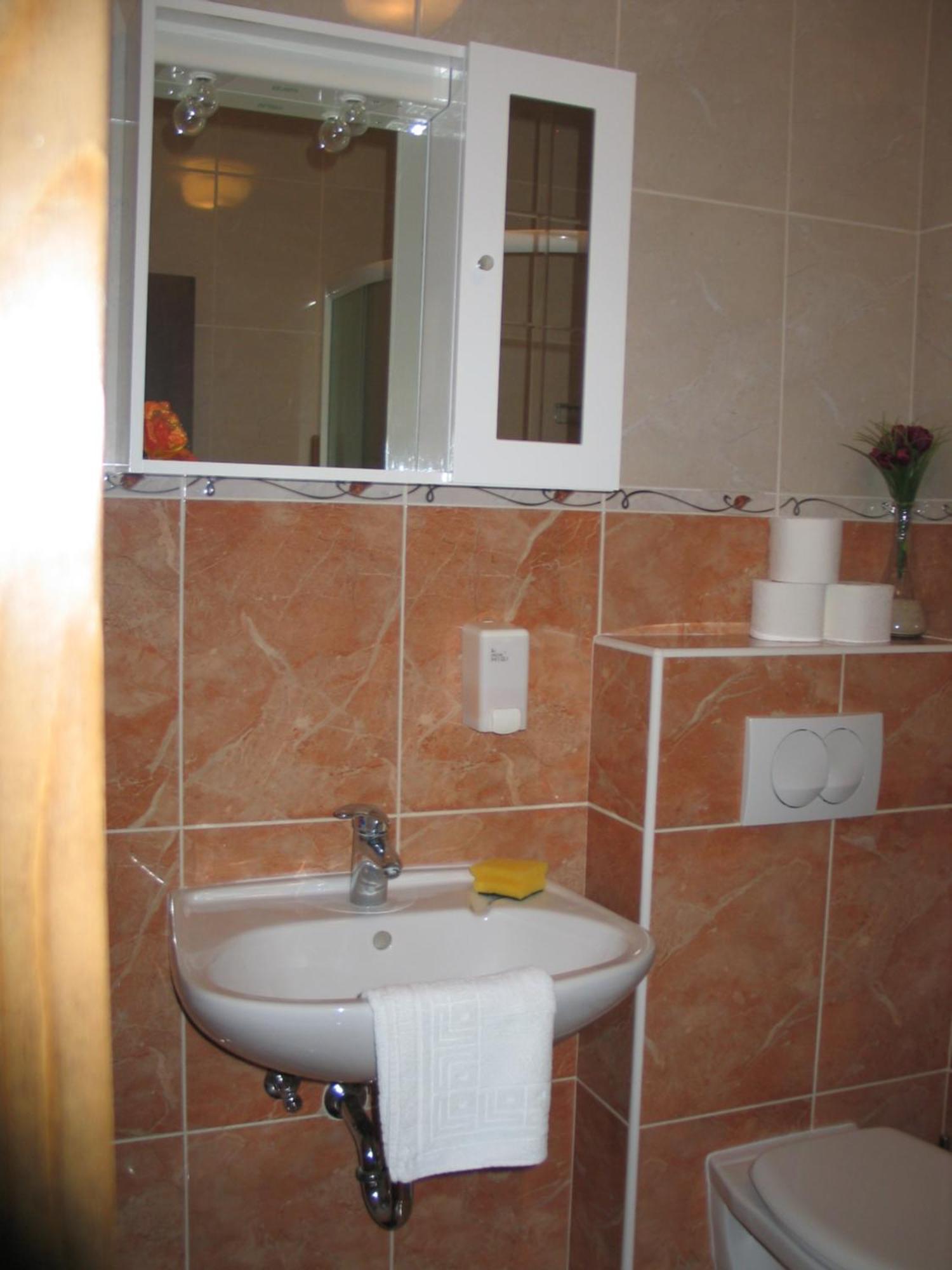 Apartment Luxury Lenka